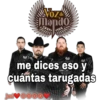 cantantes canciones 23