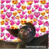 @SOYCHOOQOMILO