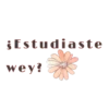 ¡Estudiaste
wey?