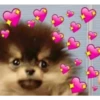 Perritos Con Corazones 19