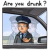 Police stickers 24
