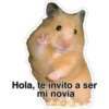 Hola, te invito a ser
mi novia