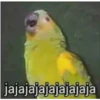 jajajajajajajajaja