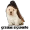 Perrito 20