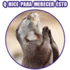 QHICE PARA MERECER ÉSTO