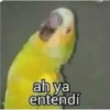 ah ya
entendí