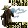 Maestro Yoda 13