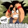 DRAGÓN BALL I 23