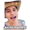BIBI ¡AH no mames!