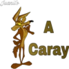 Coyote (canis latrans) 28