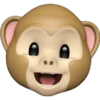 Little monkey memoji 11