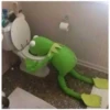 Kermit the Frog (pics) 2 26