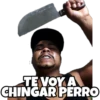 TE VOY A
CHINGAR PERRO