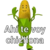 Ahí te voy chichona
