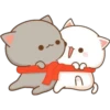 Gatos enamorados 16