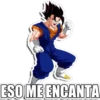 DRAGÓN BALL I 26