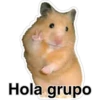 Hola grupo