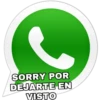 SORRY POR
DEJARTE EN
VISTO