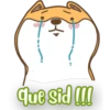 PerrunoMPQ 20