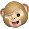 Little monkey memoji 12