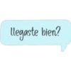 llegaste bien?