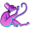 Gato Neón II 19