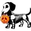 ︎Hallowencito 1 30
