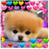 Perritos Con Corazones 27