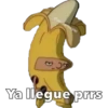 @paosantiagoo
Ya llegue prrs