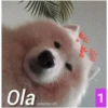 Ola
amame.xfi
88
1