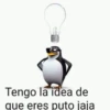 Tengo la idea de
que eres puto jaja