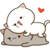 Gatos enamorados 18