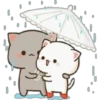 Gatos enamorados 20