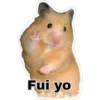 Fui yo