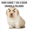 Perrito 28