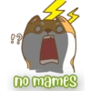 PerrunoMPQ 21