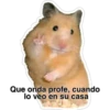 Que onda profe, cuando
lo veo en su casa