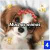 A
Muchos mimos
4