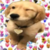 GOOD
BOY
#1