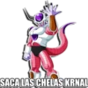 DRAGÓN BALL I 29