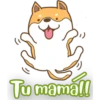 PerrunoMPQ 22