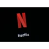 Netflix Logo 30