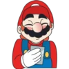 Mario 27