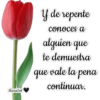 Y de repente
conoces a
alguien que
te demuestra
que vale la pena
continuar.
MariaSel