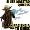 Maestro Yoda 14