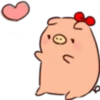 Bubu & Aba Love Pig 6