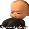 Te pica el culo jaja