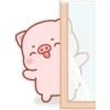 The life of a little pig 5