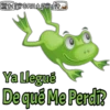 + SWGRILLØYS
Ya Llegué
De qué Me Perdi?