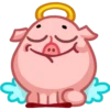 Pig 5